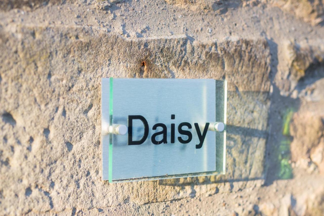 Daisy Cottage Bamburgh Exteriör bild